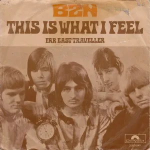 Pochette de This Is What I Feel de BZN