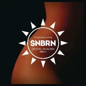 Pochette Sexual Healing (SNBRN Radio Remix)