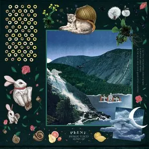 Pochette de Impulse Voices (Remix EP) de Plini