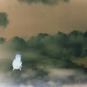 Pochette de So Lo (Andrew VanWyngarden remix) de Pond