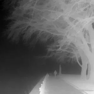 Pochette de FOG On Monday de Elio Varesse