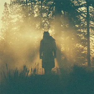 Pochette de The Beyond / Where the Giants Roam de Thundercat