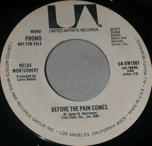 Pochette de Before the Pain Comes de Melba Montgomery