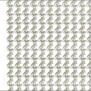 Pochette de Stacte.3 de Oren Ambarchi