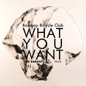 Pochette What You Want (The Darcys remix)