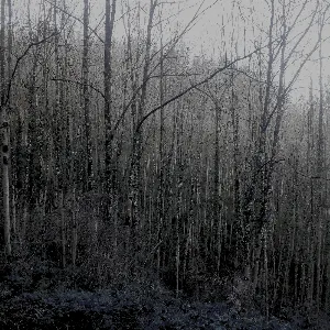 Pochette de ont- de Damien De Coene