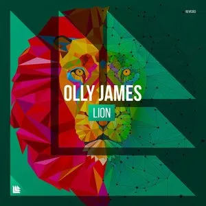 Pochette de Lion de Olly James