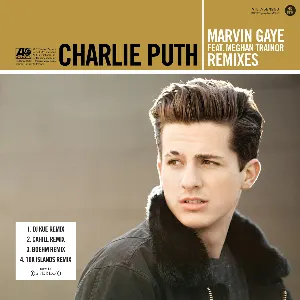 Pochette Marvin Gaye (Remixes)