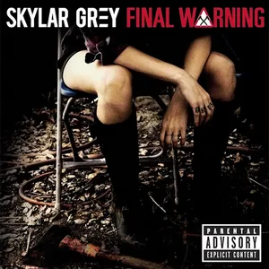 Pochette de Final Warning de Skylar Grey