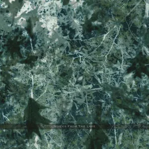 Pochette de Voices From the Lake de Donato Dozzy