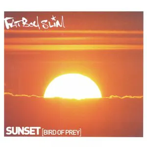 Pochette Sunset (Bird of Prey)