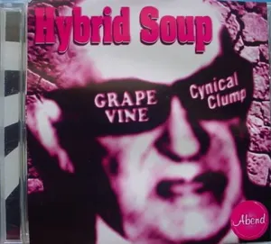 Pochette de Hybrid Soup de GRAPEVINE
