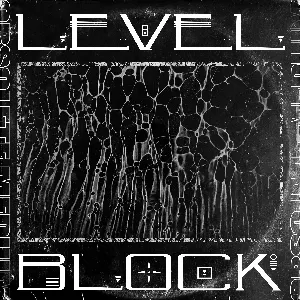 Pochette de LEVEL / BLOCK de The Upbeats - Phace