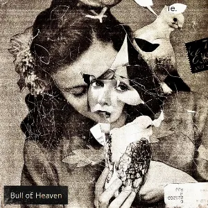 Pochette de Such as Is Not de Bull of Heaven