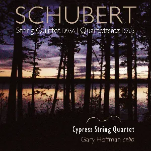 Pochette String Quintet, D956 / Quartettsatz, D703