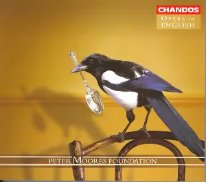 Pochette The Thieving Magpie