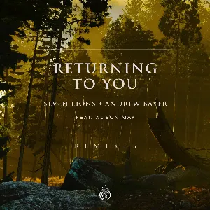Pochette de Returning to You (remixes) de Andrew Bayer - Seven Lions