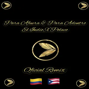 Pochette de Para afuera & para adentro (remix) de Polakán