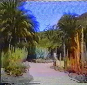 Pochette de Yuki de 猫 シ Corp.