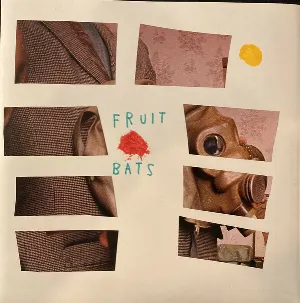 Pochette de Play a Nice Song by Someone Else de Fruit Bats