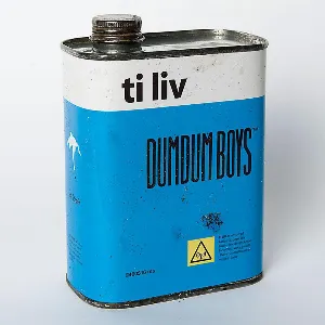 Pochette de Ti liv de DumDum Boys