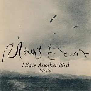Pochette de I Saw Another Bird de Mount Eerie