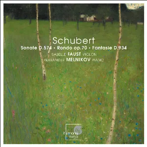 Pochette Sonate, D. 574 / Rondo, op. 70 / Fantasie, D. 934