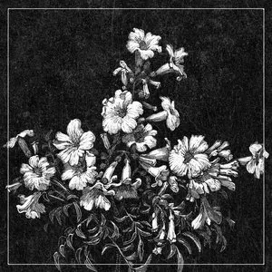 Pochette de FIGURE 8 de BLVCKCEILING