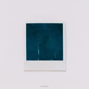 Pochette de Gleaming de Mononome