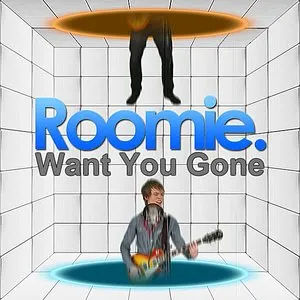 Pochette de Want You Gone (instrumental) de Peter Hollens