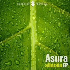 Pochette de Afterrain de Asura