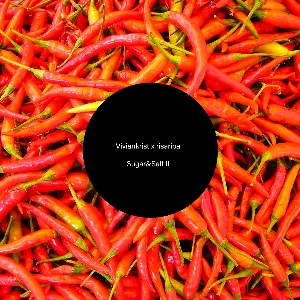 Pochette de Sugar & Salt II de Viviankrist