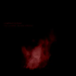 Pochette de Combulsiones de The Cherry Blues Project