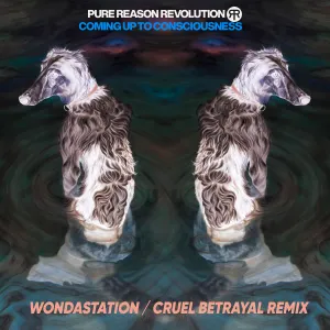Pochette de Cruel Betrayal (Wondastation Remix) de Pure Reason Revolution