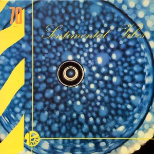 Pochette de Sentimental Vibes de Guy Boyer