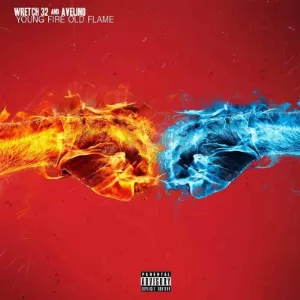 Pochette de Young Fire Old Flame de Wretch 32