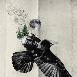 Pochette de Tvíeind de Árstíðir