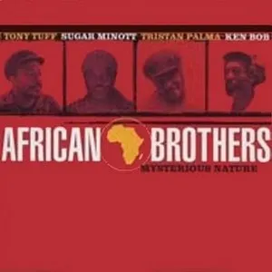 Pochette de Mysterious Nature de The African Brothers