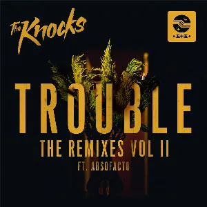 Pochette de TROUBLE (The Remixes, Pt. II) de The Knocks
