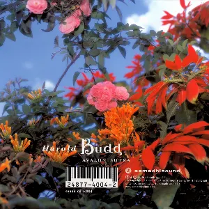 Pochette de Avalon Sutra de Harold Budd