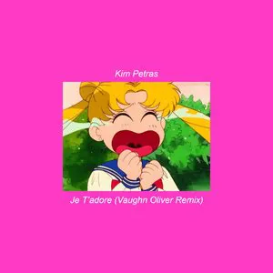 Pochette de Je T'adore (Vaughn Oliver Remix) de Kim Petras