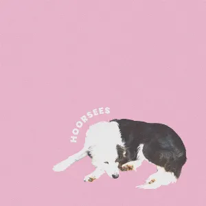 Pochette de Hoorsees de Hoorsees