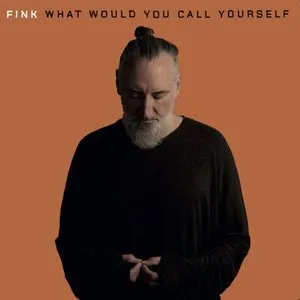 Pochette de What Would You Call Yourself de Fink