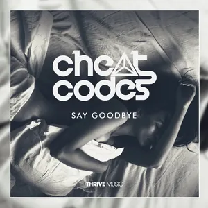 Pochette de Say Goodbye de Cheat Codes