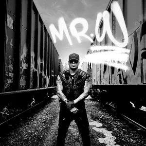 Pochette de Mr. W de Wisin