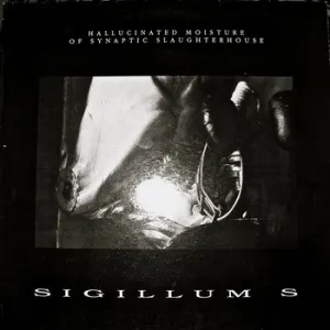 Pochette de Hallucinated Moisture of Synaptic Slaughterhouse de Sigillum S