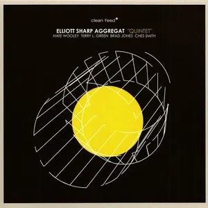 Pochette de Quintet de Elliott Sharp