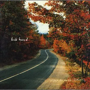 Pochette de Istället för musik: förvirring de bob hund
