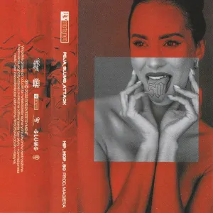 Pochette de Hip-Hop_50 de Slums Attack