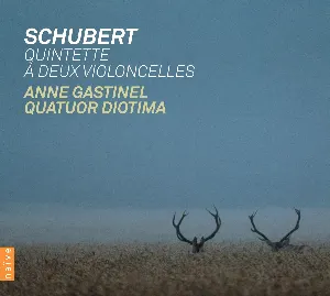 Pochette de Quintette à deux violoncelles de Anne Gastinel - Quatuor Diotima - Franz Schubert